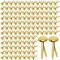 Paper Fasteners,Medium 3/4-Inch Brass Plated Scrapbooking Brads Round Metal Brads for Crafts Making DIY,300 Pack